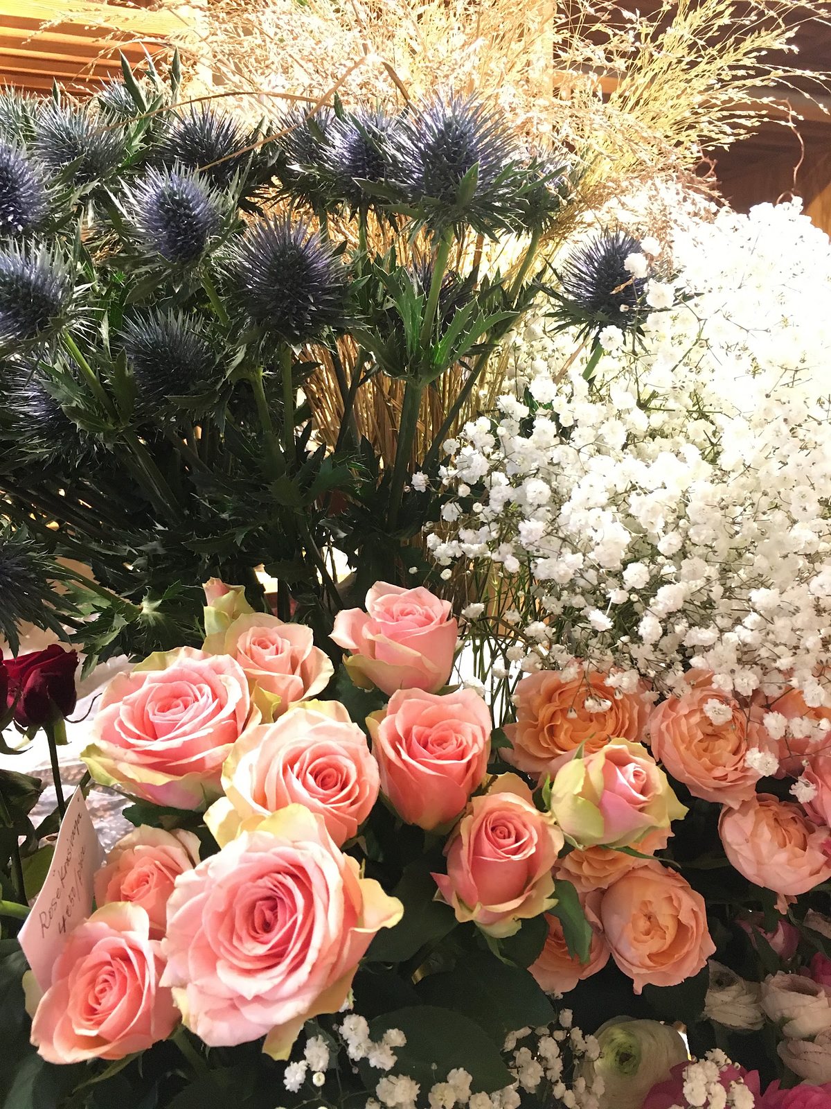 Chardons bleus, roses pêche et gypsophile côte à côte