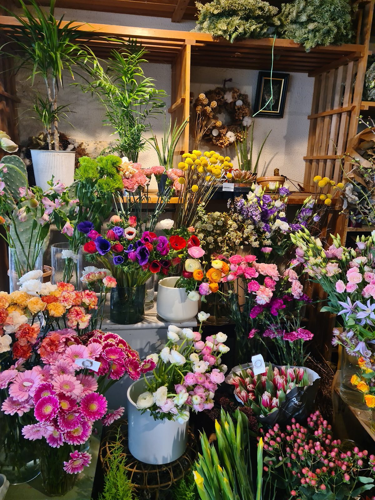 L’étal du jour : anémones, renoncules, gerberas et œillets par dizaines de vases