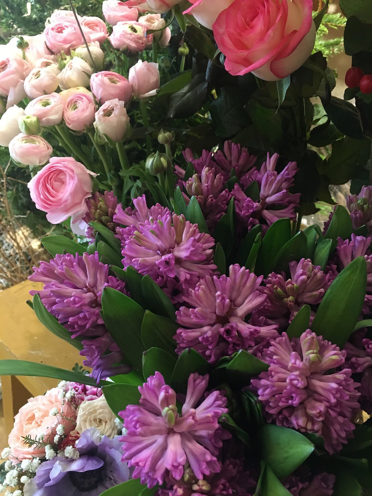 Jacinthes mauves et renoncules roses au premier plan