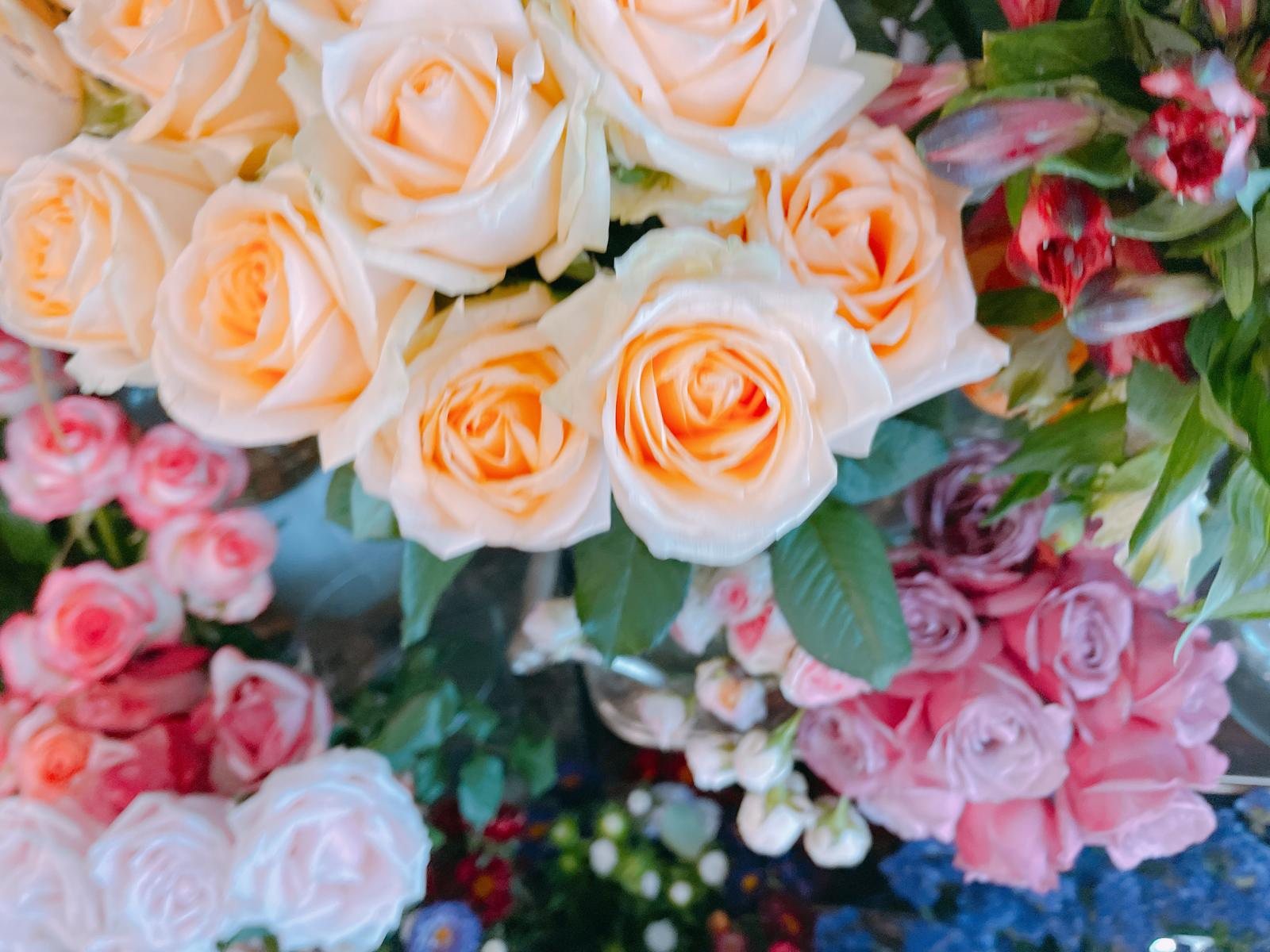 Roses pêche et roses pâles en gros plan