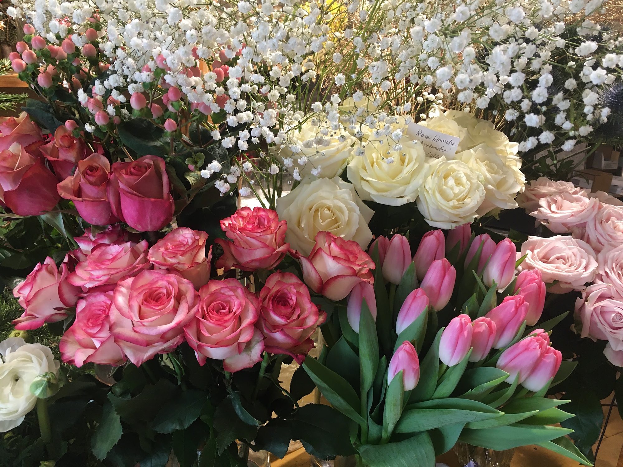 Roses roses, tulipes et gypsophile alignées en seaux dans la boutique