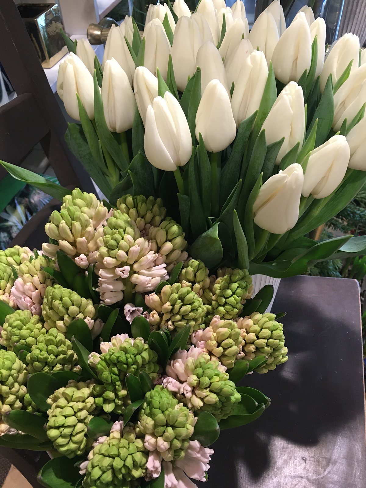 Tulipes blanches et jacinthes vertes en seau